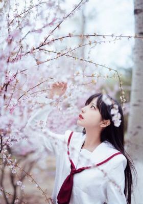 榴莲app免费下载版_乱人伦精品视频在线观看